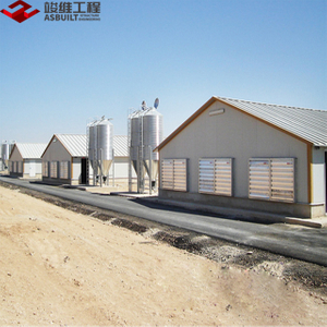 Prefabricated Chicken Farm Shed, Chicken Rearing/Production/Broiler House, Pre-engineered Steel Structure Building for Poultry