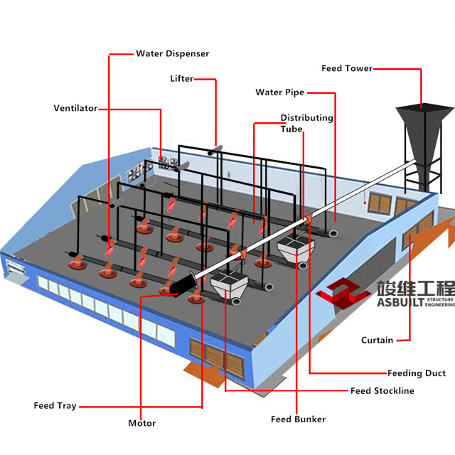 Poultry Feeding Equipment_