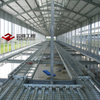 Prefabricated Poultry Shed, Chicken Rearing / Production / Broiler House, Pre-engineered Steel Structure Building